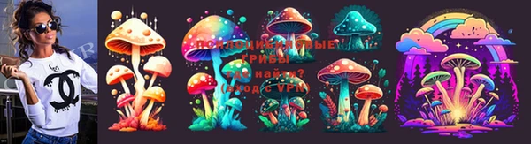 прущие грибы Покров
